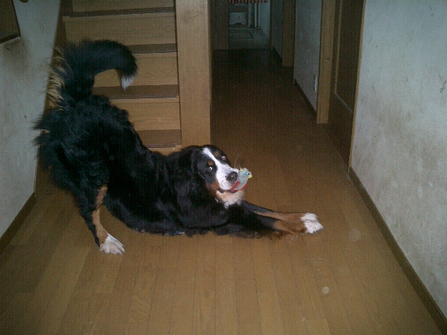 c0193042_9343649.jpg