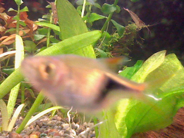 a0139647_12192826.jpg