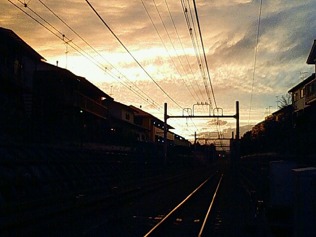 f0179947_2119534.jpg