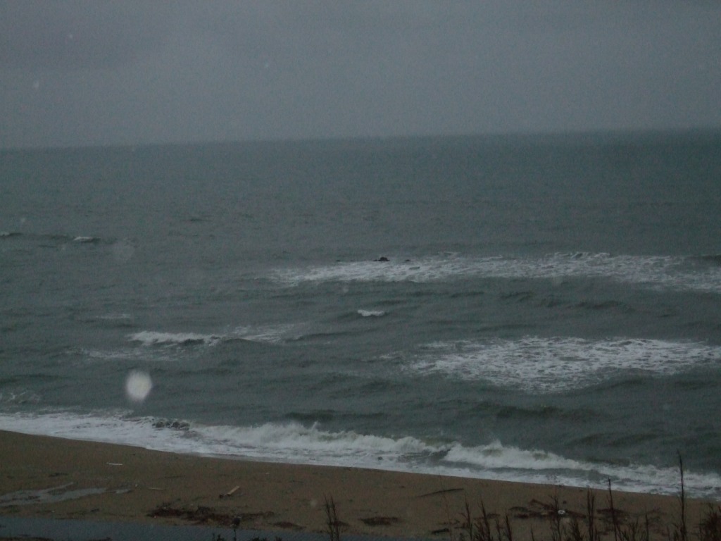 c0019951_221715.jpg