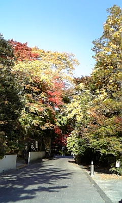 c0217551_22243414.jpg