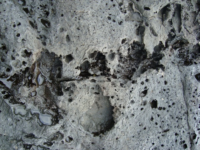 c0223451_211179.jpg