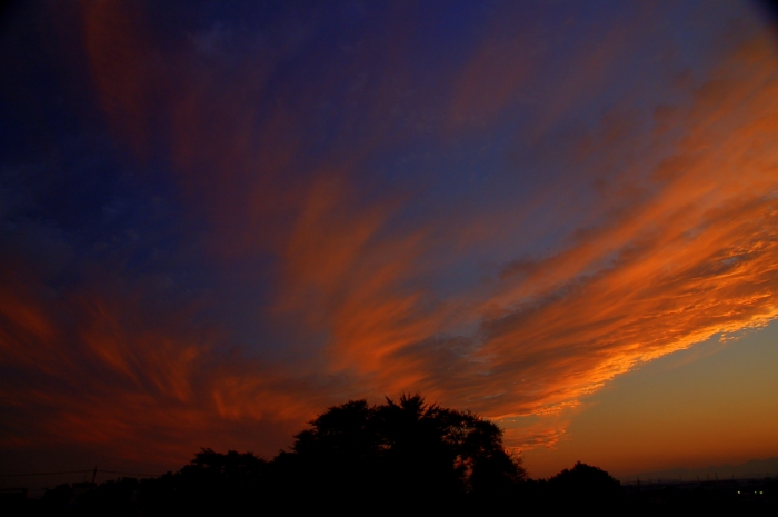 e0131161_1556272.jpg