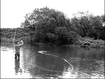 f0084561_10163029.jpg