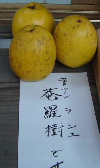 c0148762_8284854.jpg