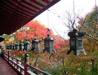 c0148762_882448.jpg