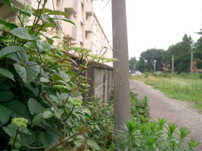 c0112172_23395378.jpg