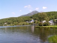 b0004675_9563531.jpg