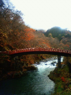 b0018784_15472591.jpg