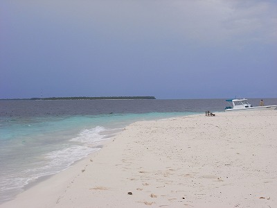 b0101284_22354979.jpg