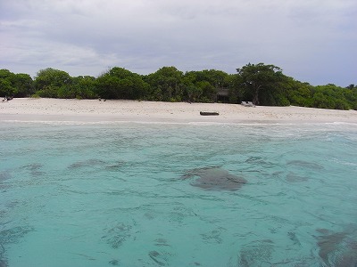 b0101284_22413943.jpg
