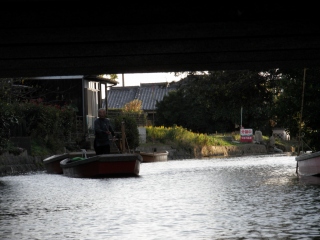 e0118788_225692.jpg