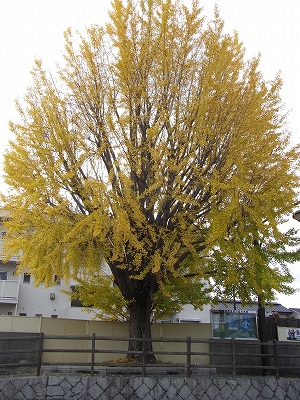 c0207890_08161.jpg
