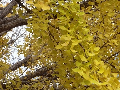 c0207890_084328.jpg