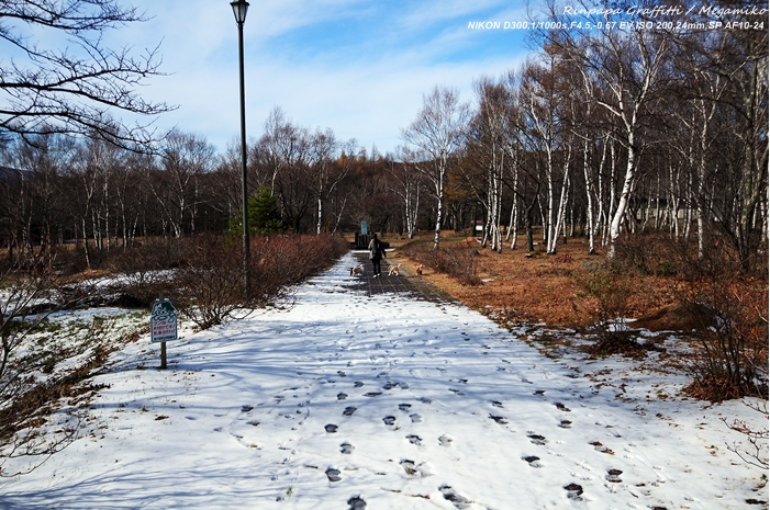 a0103596_17565489.jpg