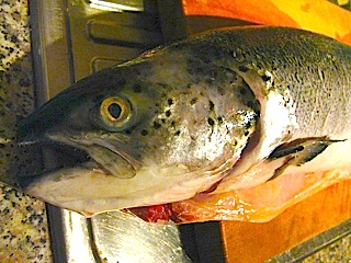 e0149801_6191158.jpg