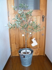 c0151903_9513131.jpg