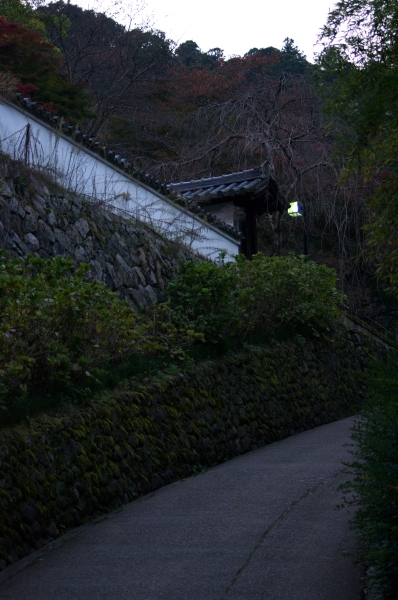 b0182104_1142132.jpg