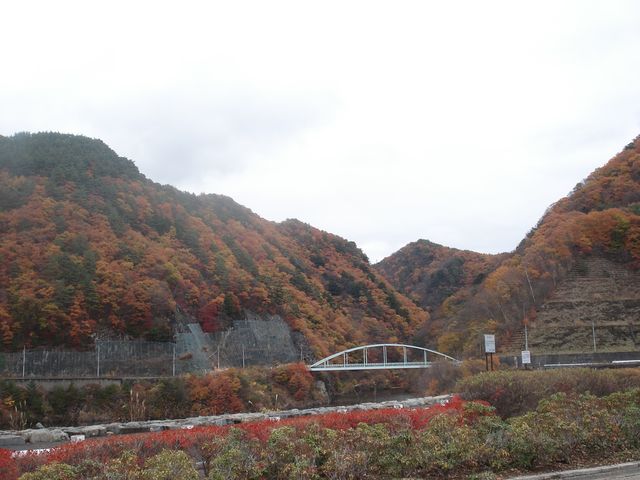 b0148106_2084881.jpg