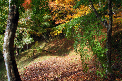 b0014607_1855826.jpg