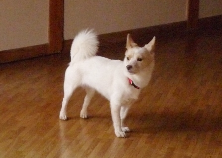 e0078510_1293142.jpg