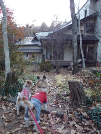 e0078510_1435128.jpg