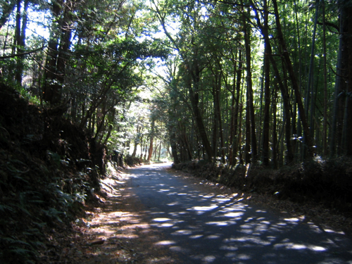 c0219815_2230386.jpg