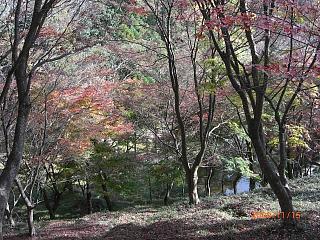 e0179321_2138382.jpg