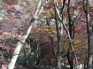 e0179321_213911.jpg