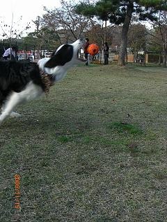 e0179321_21504332.jpg