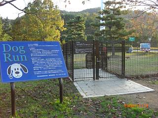 e0179321_21533995.jpg