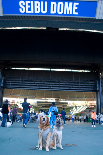 e0192921_1835430.jpg