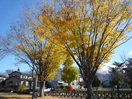 d0004426_11152470.jpg