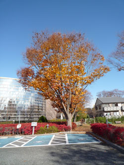 d0004426_11192725.jpg