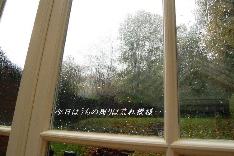 d0104926_0122033.jpg