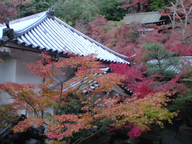 e0016828_221458.jpg