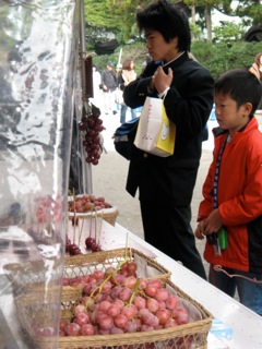 f0098728_011364.jpg