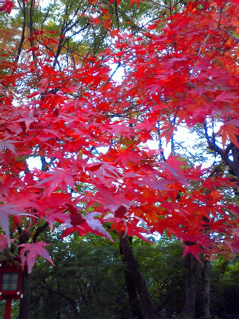 a0121134_22305333.jpg
