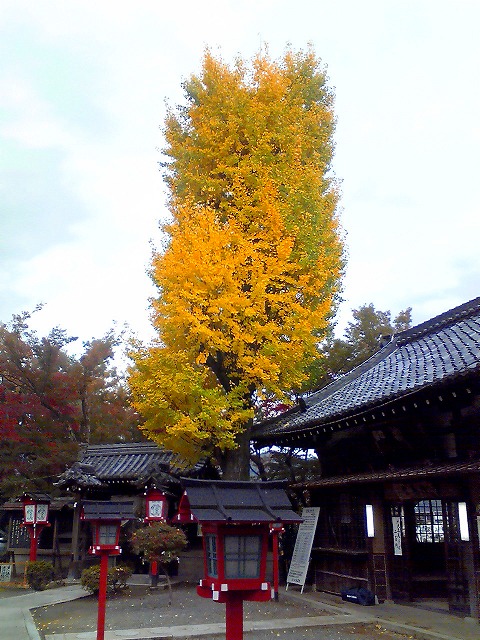 a0121134_2231732.jpg