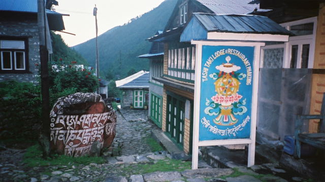 d0091834_10114980.jpg