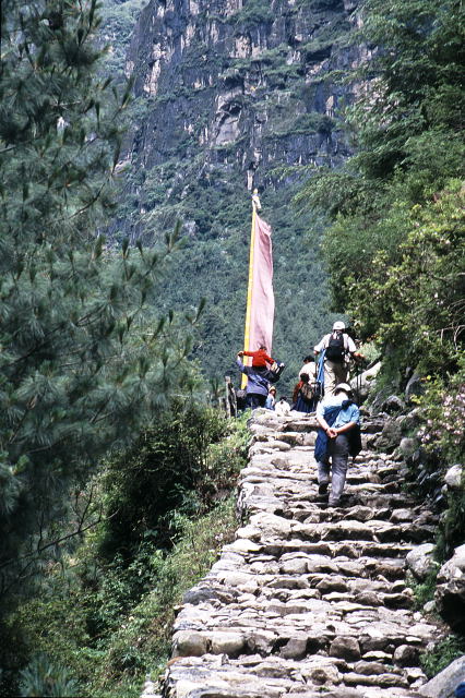 d0091834_10115942.jpg