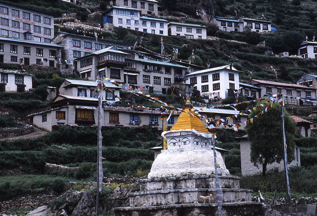 d0091834_1012978.jpg