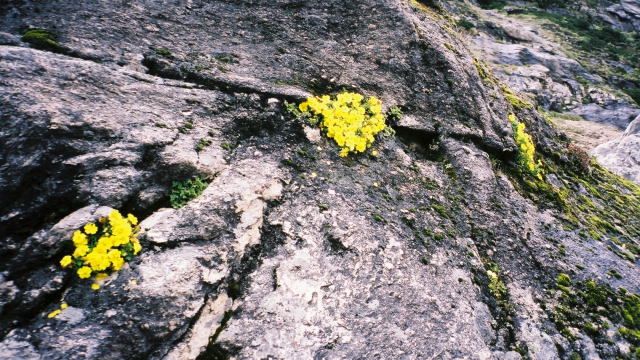 d0091834_10143378.jpg