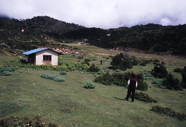d0091834_1016568.jpg