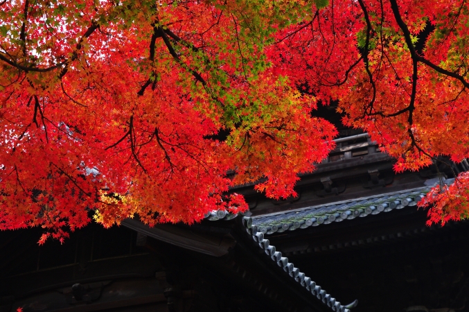 そうだ　京都、行こう。　～Traditional　Red　南禅寺・天授庵～　 - リズムのある暮らし