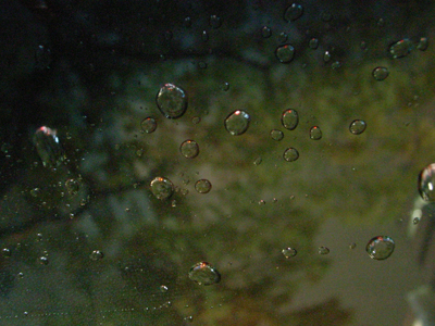 a0097735_08132.jpg