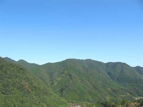 a0095337_540977.jpg