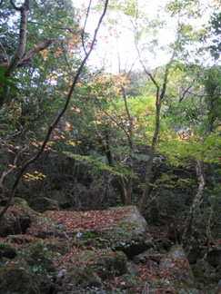 c0077338_23251070.jpg