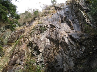 c0077338_23252645.jpg