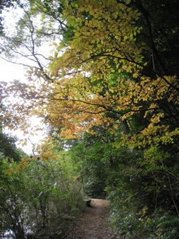 c0077338_23254732.jpg